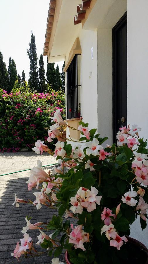 Banus Apartamento *